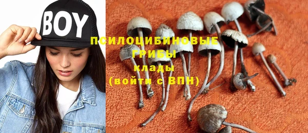 ешки Нефтегорск