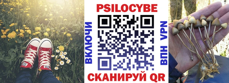 Псилоцибиновые грибы прущие грибы  как найти закладки  MEGA онион  Нефтегорск 